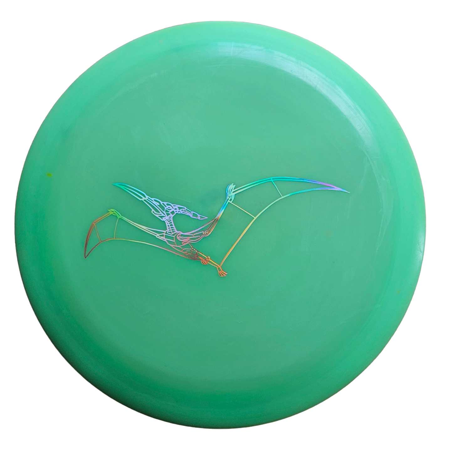 Dino Discs Pterodactylus - Special Edition