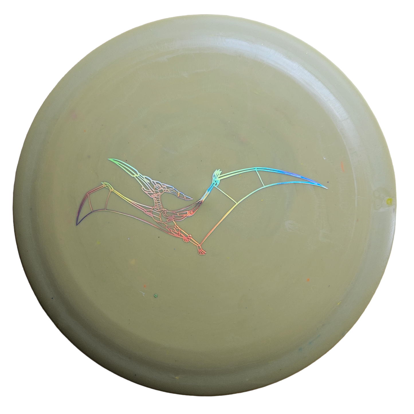 Dino Discs Pterodactylus