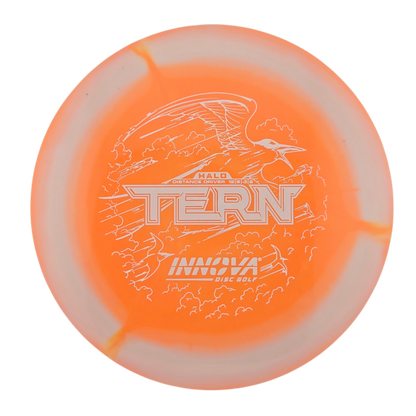 Innova Halo Star Tern