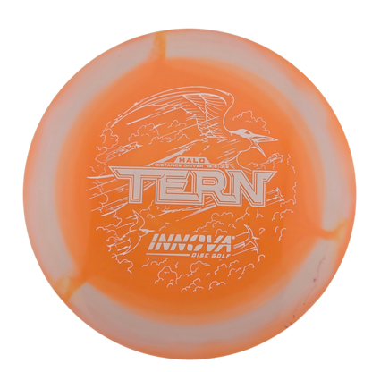 Innova Halo Star Tern