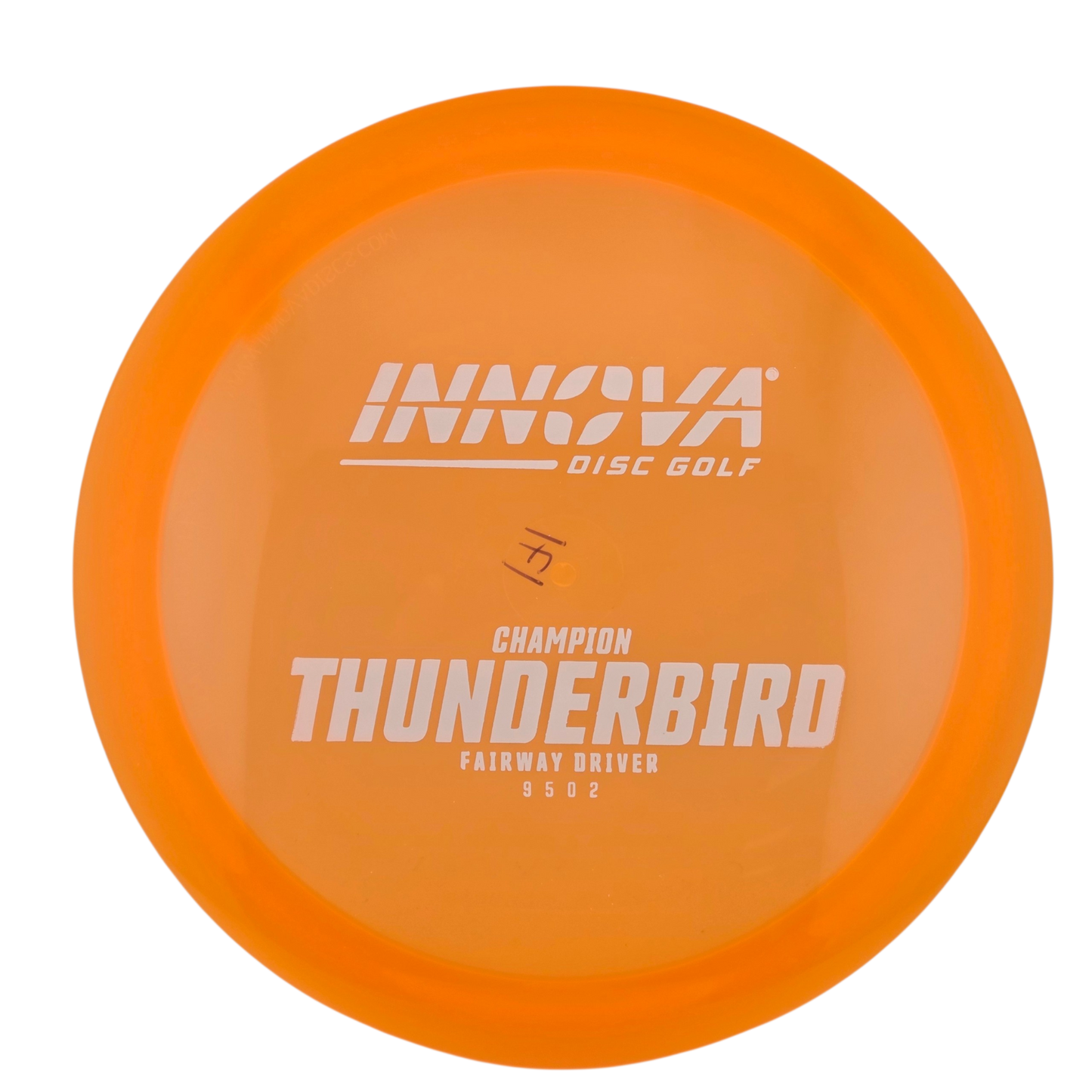 Champion Thunderbird