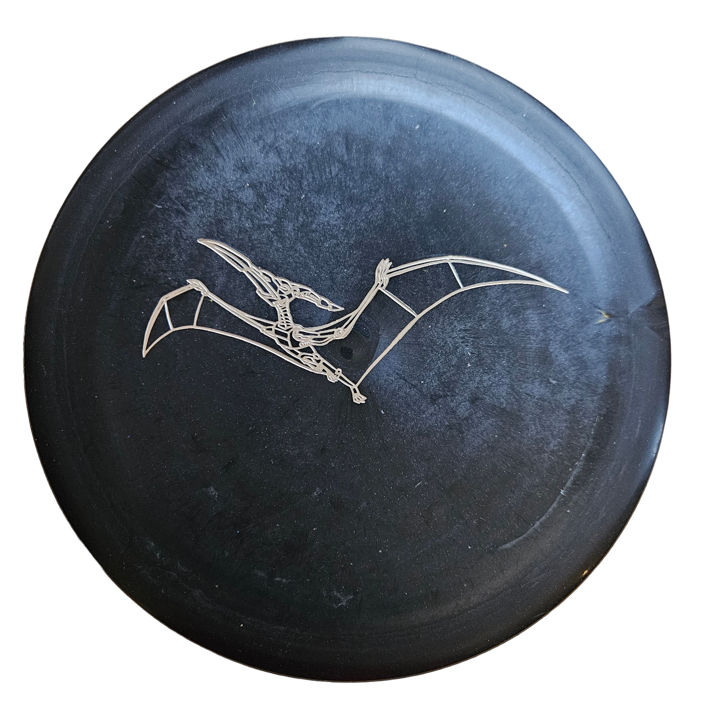 Dino Discs Pterodactylus - Special Edition