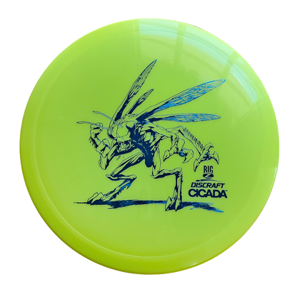 Discraft Big-Z Cicada