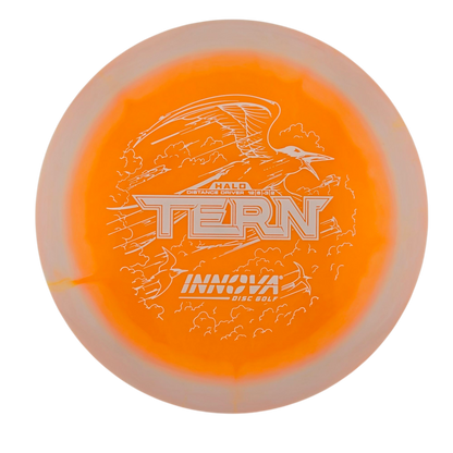 Innova Halo Star Tern